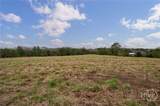 Tract 3 High Shoals Road - Photo 3