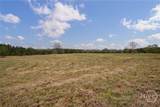 Tract 3 High Shoals Road - Photo 5
