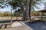 1410 Old Bishop Road - Photo 47