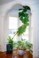 524 Hill Street - Photo 10