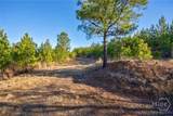 0 Lower Harmony - Photo 26
