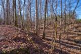 0 Lower Harmony - Photo 37