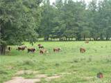 1650 Locklin Cemetery Road - Photo 6
