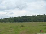 1650 Locklin Cemetery Road - Photo 8