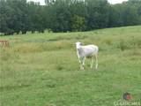 1650 Locklin Cemetery Road - Photo 10