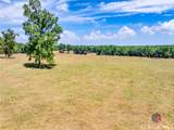 1650 Locklin Cemetery Road - Photo 104