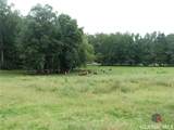 1650 Locklin Cemetery Road - Photo 12