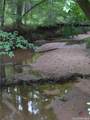1650 Locklin Cemetery Road - Photo 16