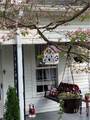 147 White Circle - Photo 2