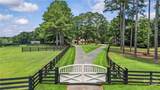 3701 Little River Road - Photo 2