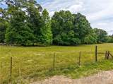 Tract 2 Mcnutt Creek Road - Photo 4