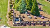 2934 Horseshoe Bend Lane - Photo 66