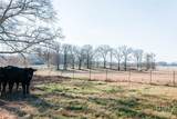 0 Crawfordville Road - Photo 13