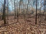 Lot 942 Birdie Court - Photo 4