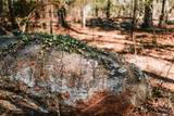 1283 Cedar Shoals Drive - Photo 12