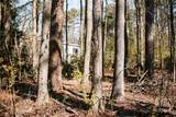 1283 Cedar Shoals Drive - Photo 5