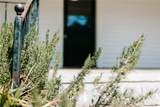 229 Spring Street - Photo 31