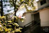 229 Spring Street - Photo 36