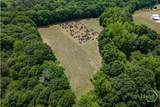 64 Acres Old Bishop Road - Photo 14