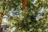 178 Childs Street - Photo 55