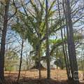 6291 Colham Ferry Road - Photo 5