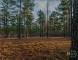 163 Overlook Drive - Photo 4