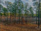 163 Overlook Drive - Photo 7