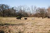 0 Ralph Bridges Road - Photo 1