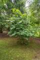 170 Chadds Walk - Photo 29