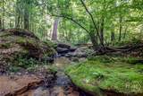 272 0 Doster Road - Photo 48