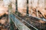 0 Lovers Lane - Photo 9