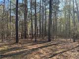 1697 Broad River Scenic Drive - Photo 9