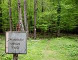 Lot 1687 Point Road - Photo 13