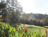 Lot 1687 Point Road - Photo 9