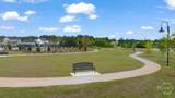 67 Defilippe Drive - Photo 45