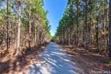 0 Bob Smith Road - Photo 7