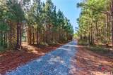 0 Bob Smith Road - Photo 9