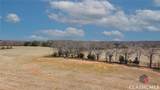 1042 Woodlawn Road - Photo 11