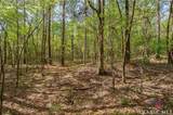 0 Skull Shoals Road - Photo 12