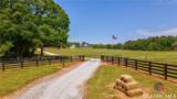 600 Piney Grove Road - Photo 120