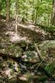 0 Bryant Road - Photo 21