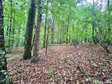 0 Cedar Lane - Photo 8
