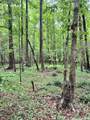 0 Cedar Lane - Photo 9