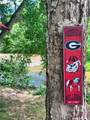 585 White Circle - Photo 110