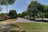 225 Oak Street - Photo 19