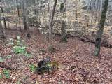 Lot 43 Chickasaw Drive - Photo 6