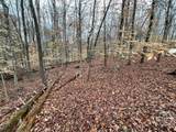 Lot 43 Chickasaw Drive - Photo 9