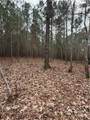 1700 Northwoods Drive - Photo 3