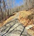 28 B Sal Mountain Way - Photo 3