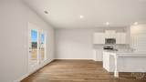 229 Defilippe Drive - Photo 11